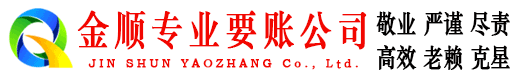 丹寨清债公司